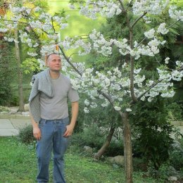 Молодой парень сделает куни девушке в Нижнем Новгороде